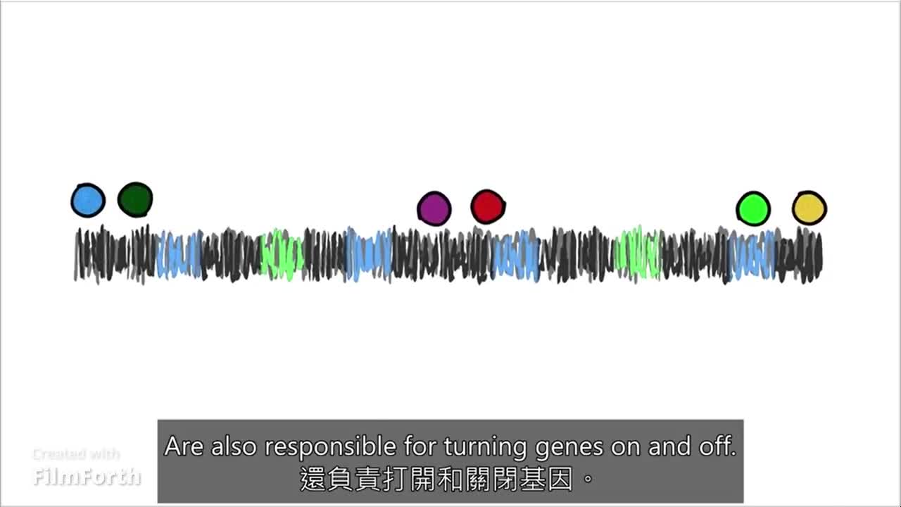 表观遗传变化是哺乳类动物衰老的主要驱动因素