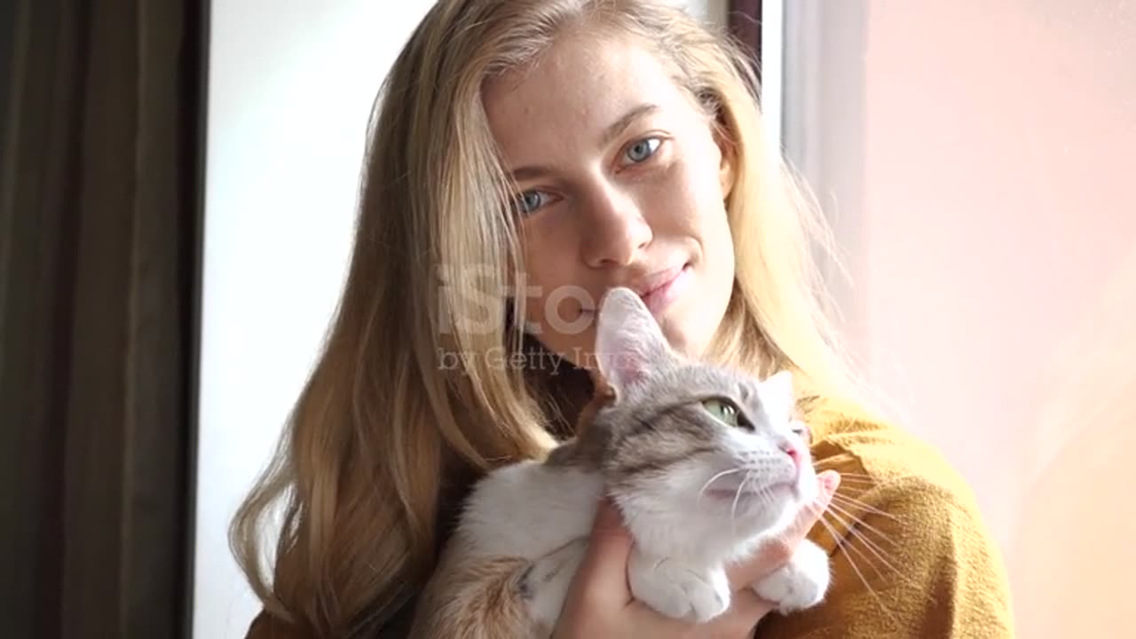 Happy cat At Home With Their Owner 4K