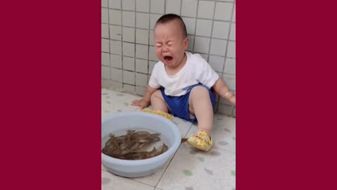 Baby Cute Funny Video