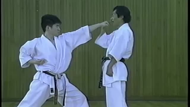 Shorin Ryu Karate