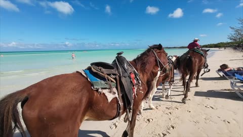 Cayo Coco Cuba