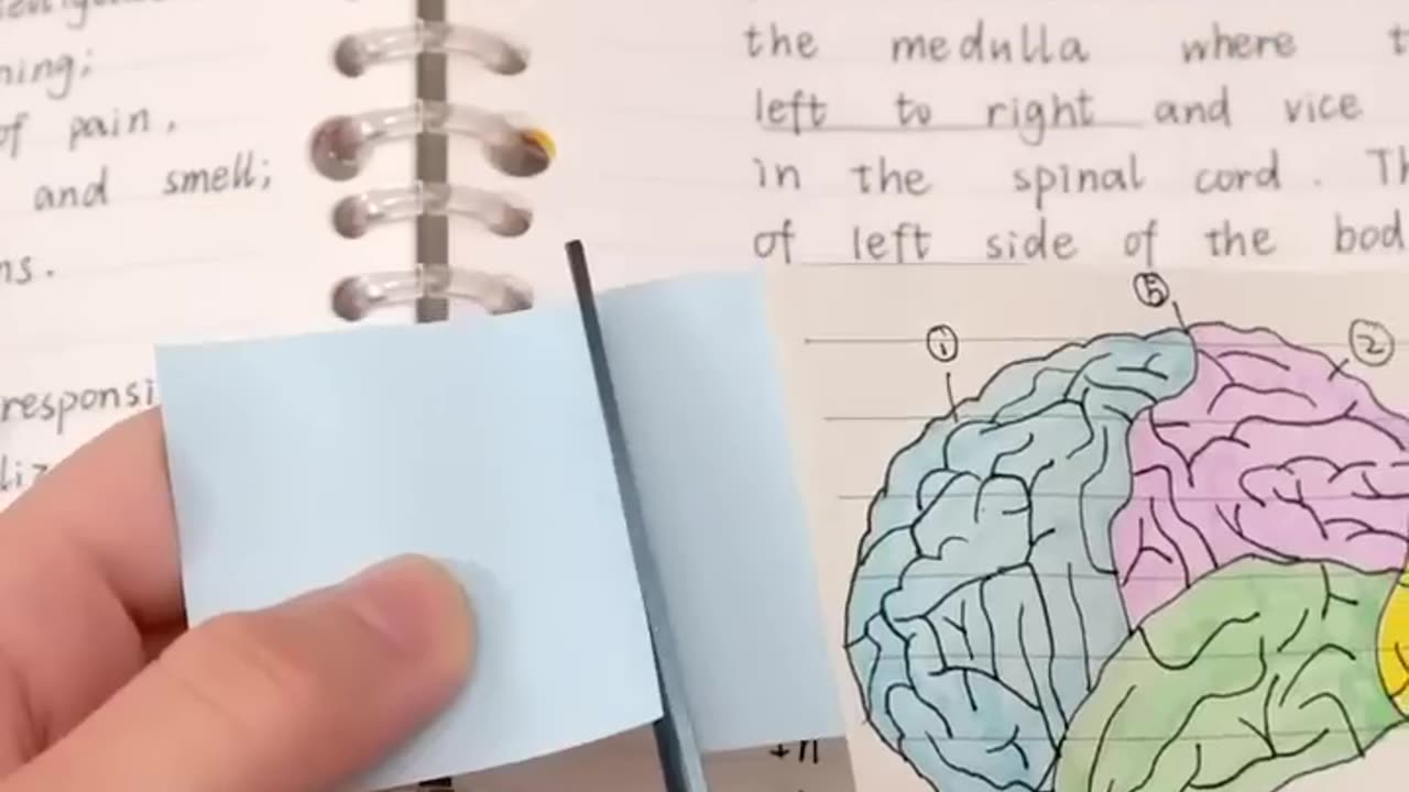 Sticky Notes Hacks that you don't know 😍