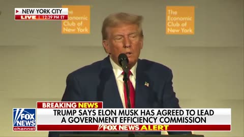 Trump announces Elon Musk will head audit of 'entire federal government'