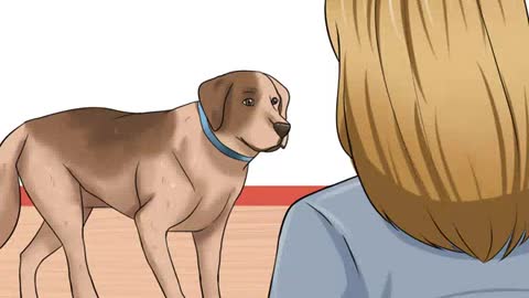 Heartworms diagnosis for Dogs