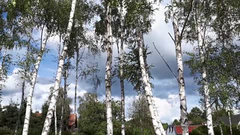 Himmel in Berlin am 10.09.2022 um 15:25 Uhr