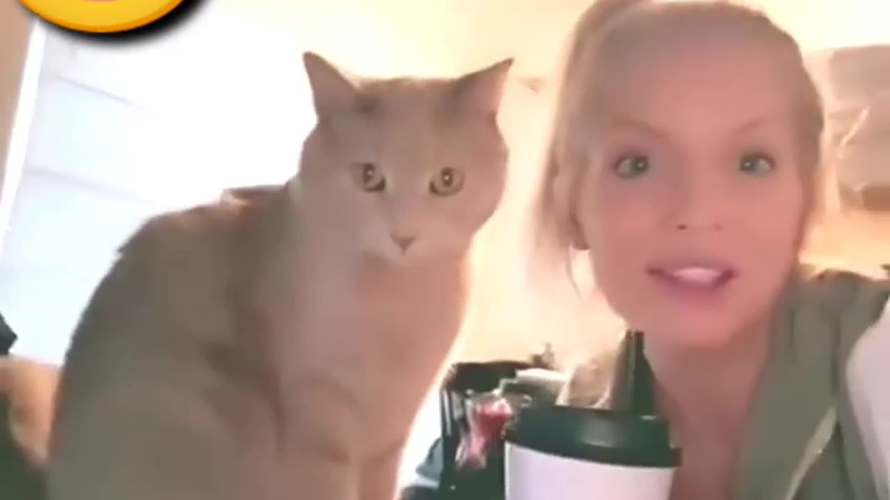 Funny comedy 🤪😆 animals funny videos 🤪 funny videos