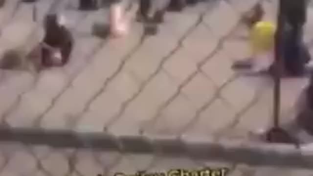 teachers that need to be in prison