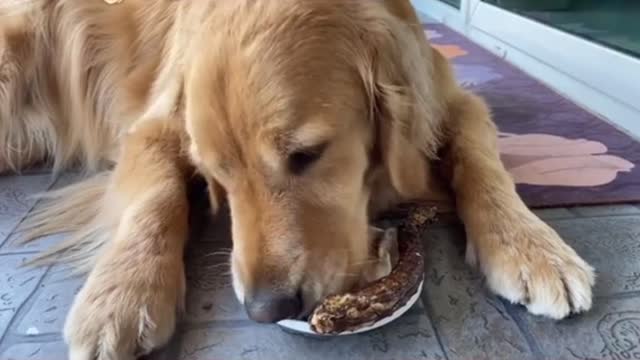 Snacks after lunch