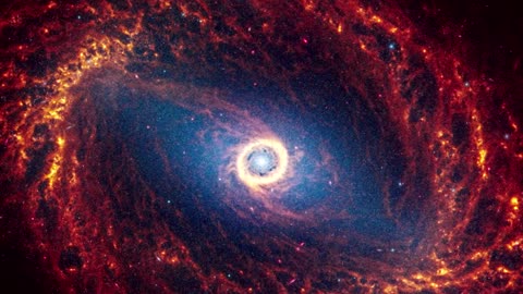 Webb telescope captures images of 19 spiral galaxies