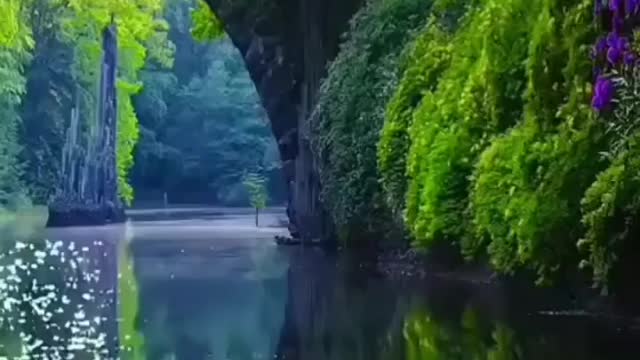 let's travel The World