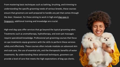 The Art of Pet Grooming in Luxury Dog Spas — The Pets Workshop