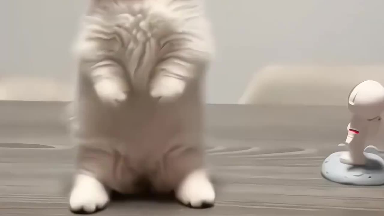 Cute animals clips