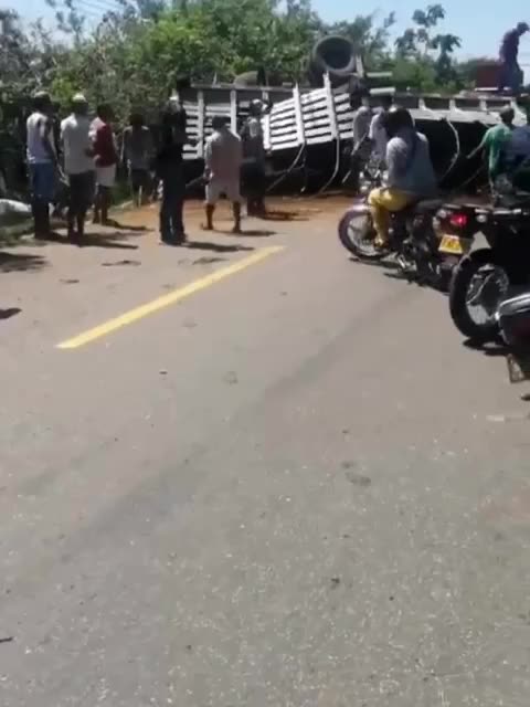 Camión volcado en la Troncal transportaba toros: animales no aparecen