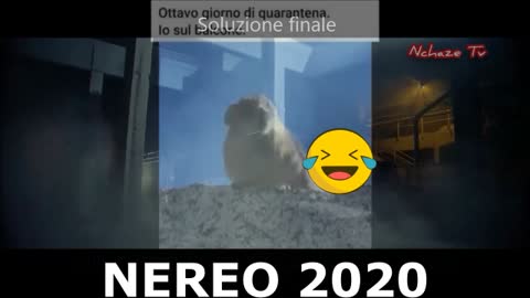 NEREO 2020 SOLUZIONE FINALE DEL TURBO KEINESIANO PROBLEMA SOCIALE