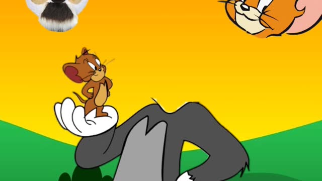 Tom and Jerry Wrong Head Video __ wronghead Tom and Jerry __Tom and Jerry cartoon #short #cartoon