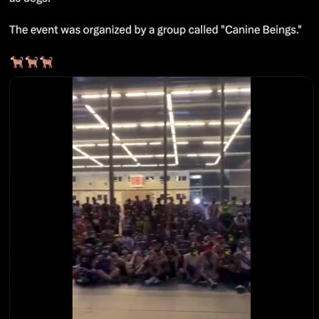 🐾🦴K9 ZoMBiE ApOcaLySe 🧟‍♂️