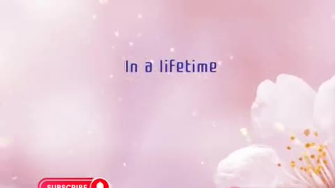 Kenny Loggins - Meet Me Halfway 2