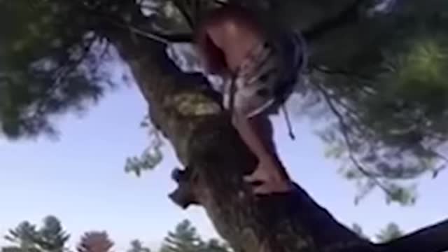 Best Funny Video Clips #shorts (109)