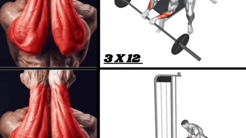 Gym Video 2