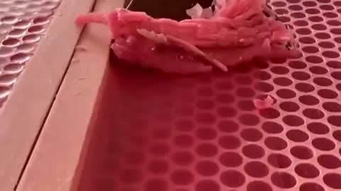 Best oddly satisfying video that relax your mind