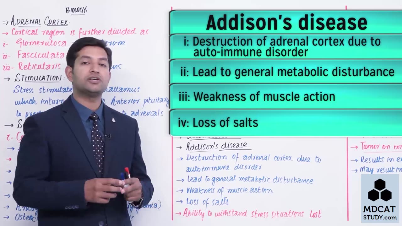 LEC#26 ADRENAL CORTEX AND GUT