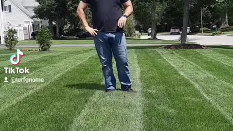 Stone Cold Lawn Care Tribute