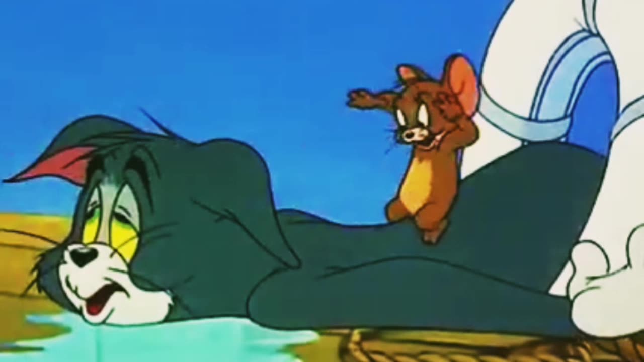 Tom And Jerry cartoon