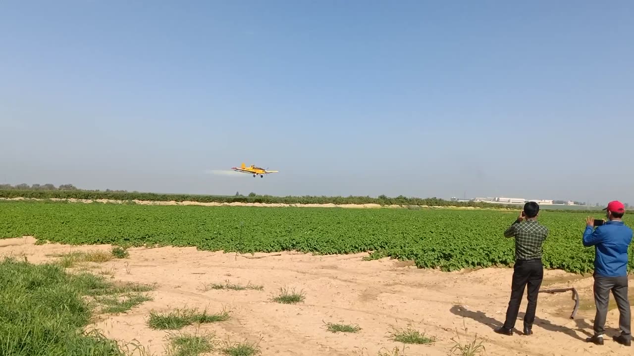 Spraying in potato