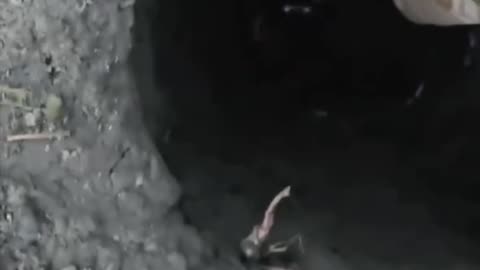 Russians Forced to Drink Water from Muddy Hole