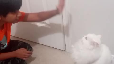 Come on let's fight. Hilarious Fight