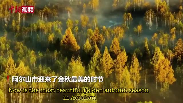 Beautiful autumn scenery of Aershan National Park in Inner Mongolia