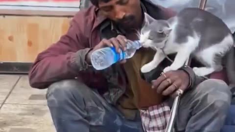 Thirsty Cat Drinking Water From Stranger