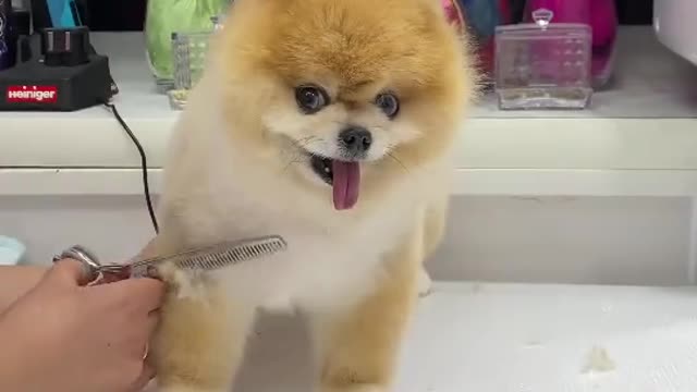 New haircut