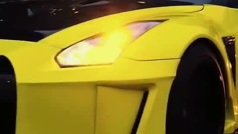 🐥🌕Nissan GTR