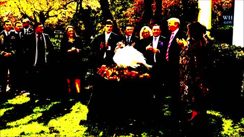 Donald Trump Pardons Turkeys 2017 but its Lofi