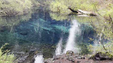 Behold the Beautiful Blue Clear Lake – Central Oregon – 4K