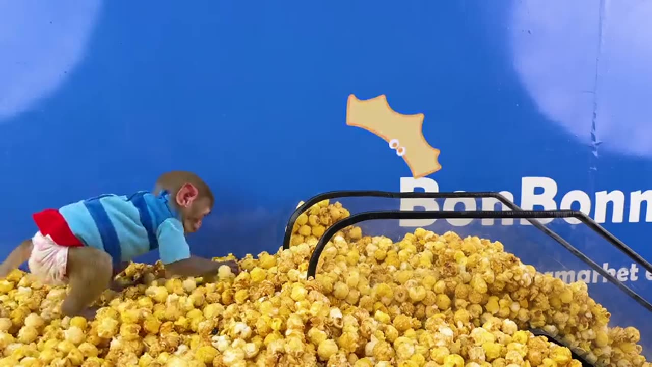 Monkey baby bon goes to the supermarket to buy popcorn