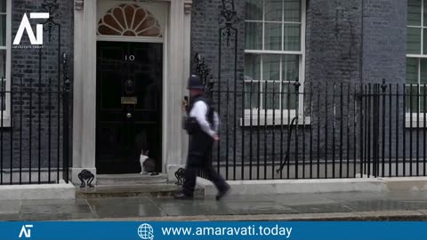 Larry the Downing Street Cat Steals the Show Amid Prime Minister Transition Chaos | Amaravati Today