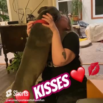 How I met your mother