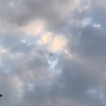 Can anybody tell me what this is?