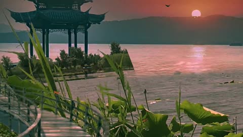 1: The beauty of the evening sun