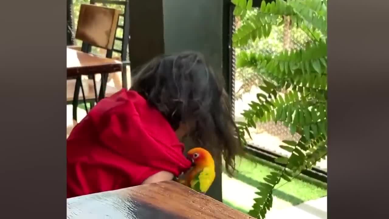Funny moment