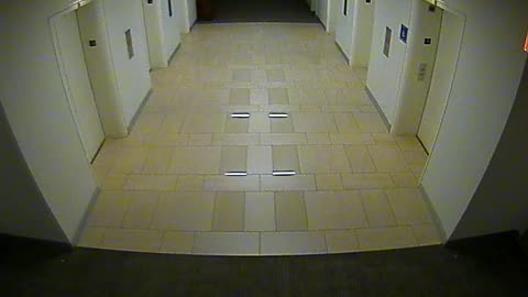 8404OHOB03O3A2MainElevatorLobby_2021-01-06_07h40min00s950ms.mp4
