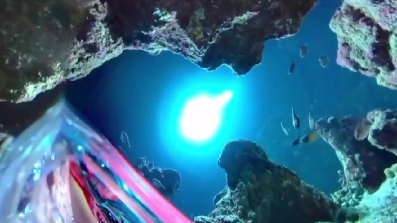 Scuba diver