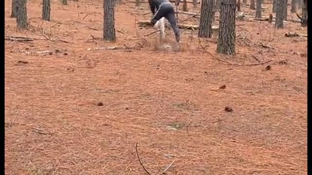 POV: when it's yo homeboys first time in the woods