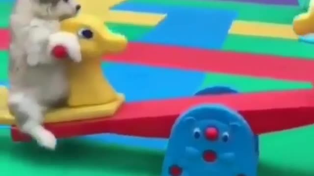 Play with the seesaw