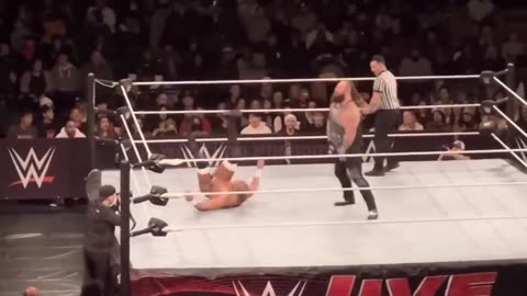 Wwe fight