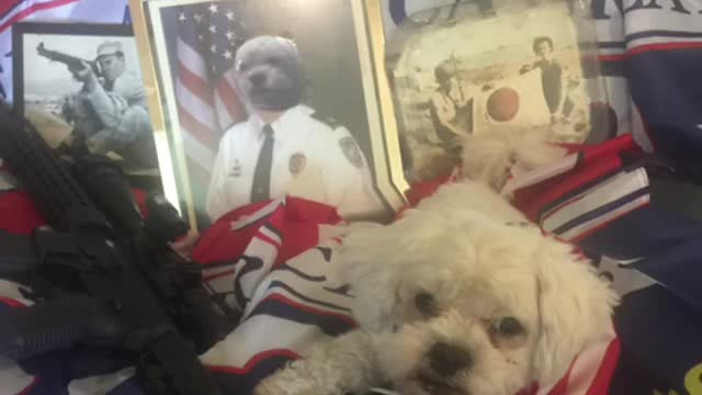 ULTA MAGA patriot Loulou aka Louis news 📰 National Police Prayer 🙏🏼 🇺🇸💙💙💙👮👮🏿♂️👮♀️