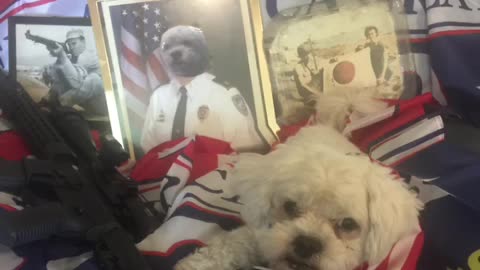 ULTA MAGA patriot Loulou aka Louis news 📰 National Police Prayer 🙏🏼 🇺🇸💙💙💙👮👮🏿‍♂️👮‍♀️