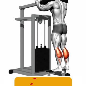 Calf Workout #calfworkout #homeworkout #fitnessjourney #sculptedcalves #shorts #legexercise